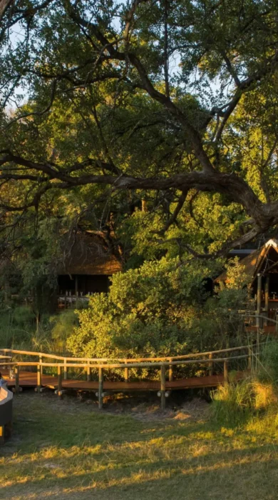 Deck, Moremi Camp, Moremi Game Reserve, Botswana