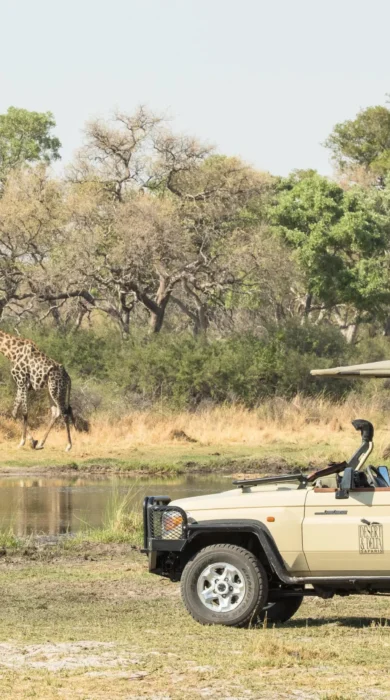 Game Drive, Moremi Camp, Moremi Game Reserve, Botswana