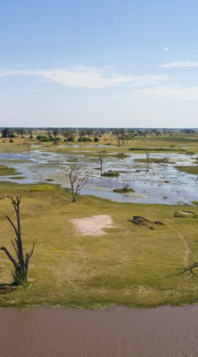 Camp Xakanaxa game drive