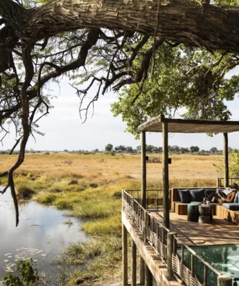 kings pool botswana decking yellow zebra safaris