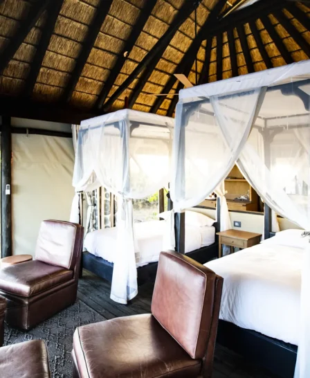 kings pool botswana twin room yellow zebra safaris