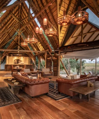 selinda camp botswana yellow zebra safaris