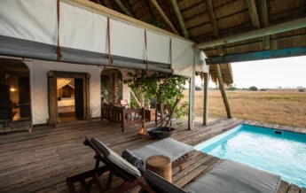 selinda camp botswana yellow zebra safaris pool view
