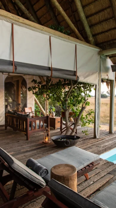 selinda camp botswana yellow zebra safaris pool view