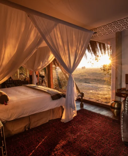 selinda camp botswana yellow zebra safaris bedroom sun rise