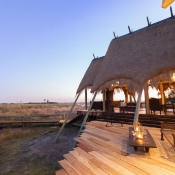 selinda camp botswana outside view yellow zebra safari