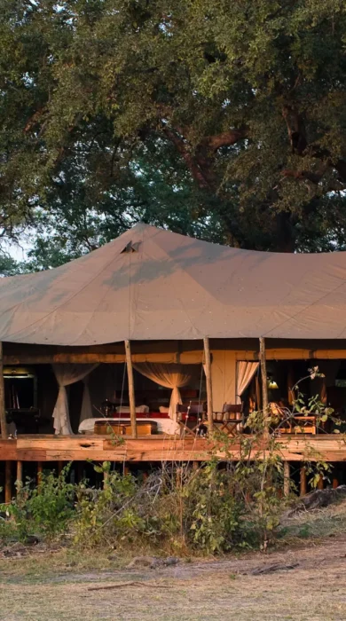 Exterior, Zarafa Camp, Okavango Delta, Botswana