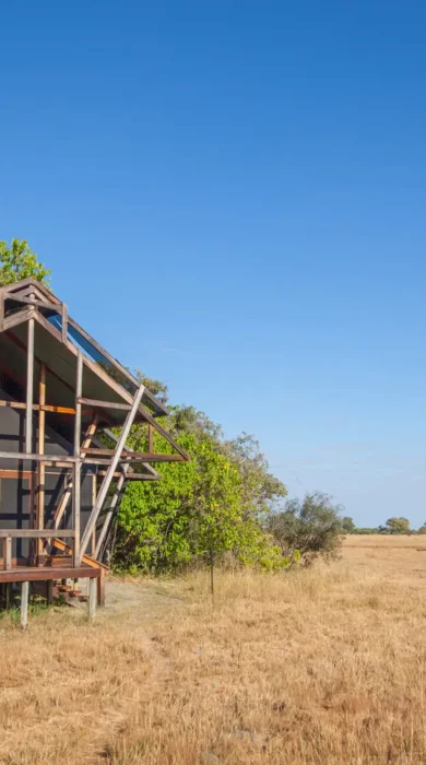 kwando lebala tent