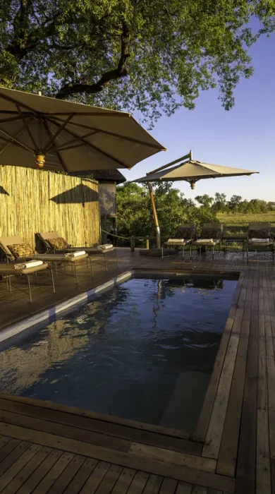 Wilderness Safaris Savuti (101)