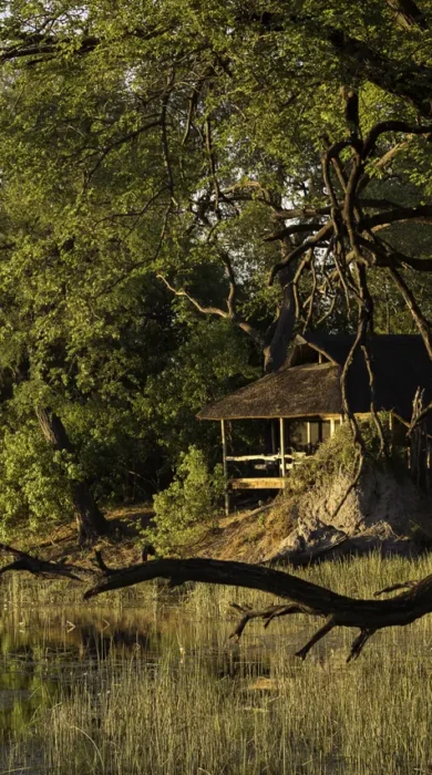Wilderness Safaris Savuti (113)
