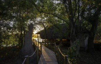 Wilderness Safaris Savuti (114)