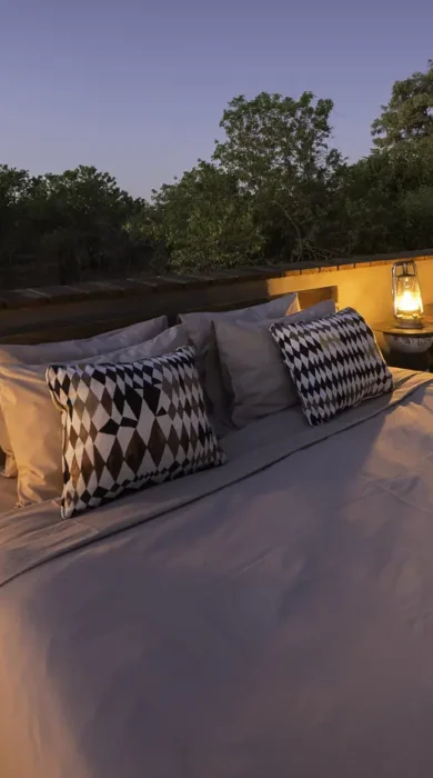 Wilderness Safaris Savuti (94)