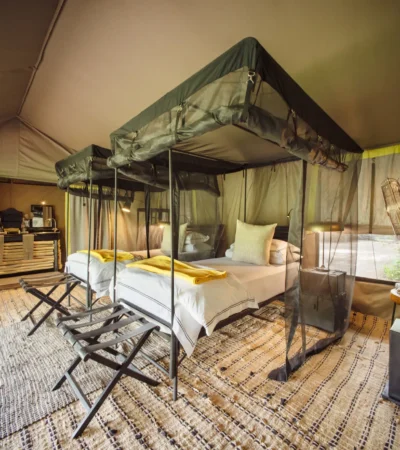 private room, forest chem chem, tarangire national park, tanzania