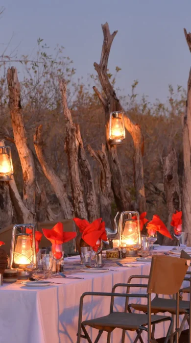 muchenje night dining deck botswana yellow zebra safaris