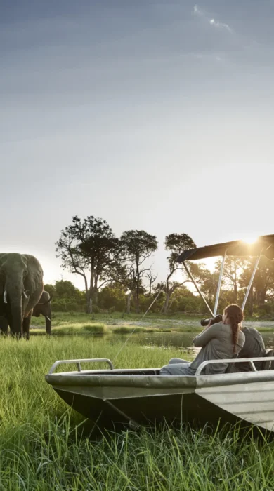 Sanctuary Chobe Chilwero boat csafari