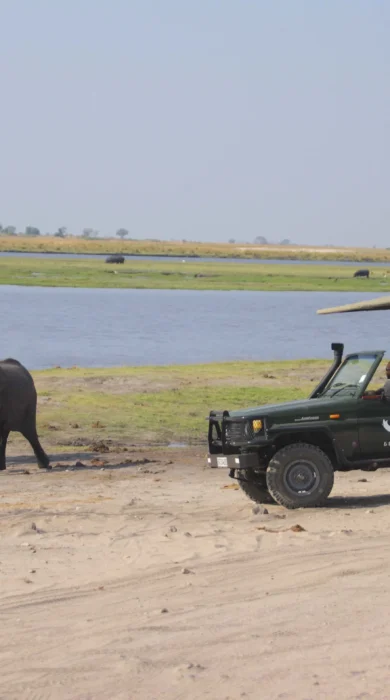 &Beyond Chobe Under Canvas game drive