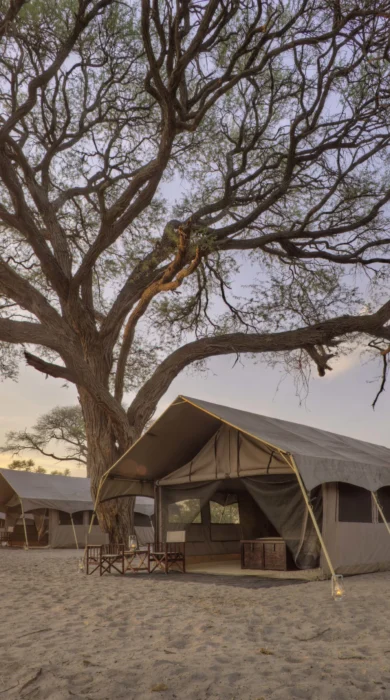 Savute under canva tent4