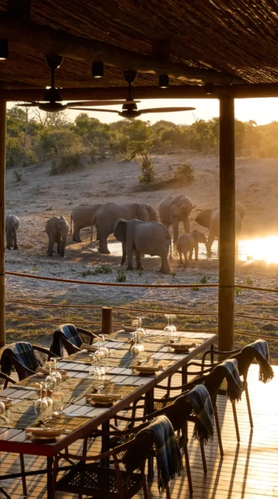 Dining, Savute Safari Lodge, Savute, Botswana