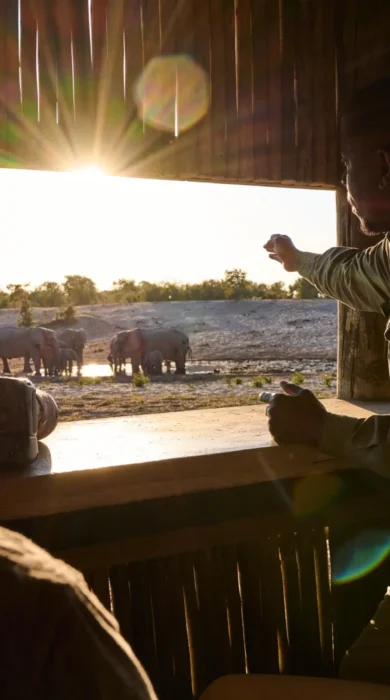 Photographic Hide, Savute Safari Lodge, Savute, Botswana