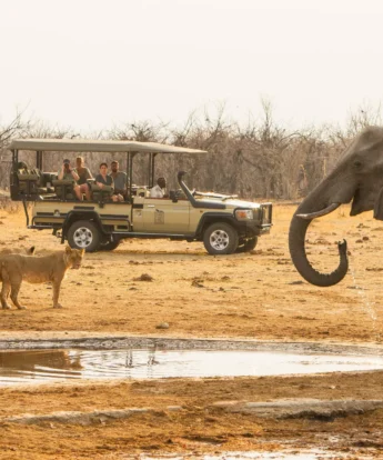 Game Drive, Savute Safari Lodge, Savute, Botswana