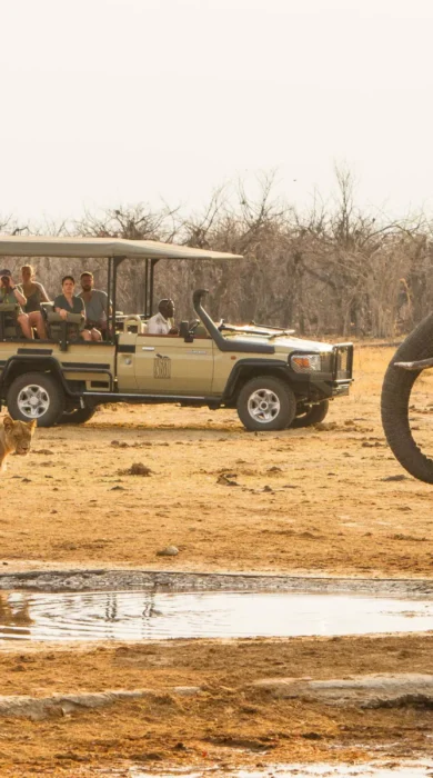 Game Drive, Savute Safari Lodge, Savute, Botswana