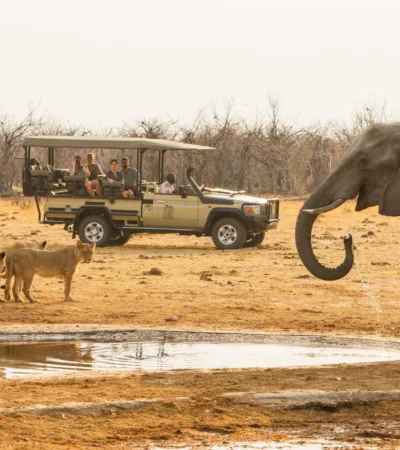 Game Drive, Savute Safari Lodge, Savute, Botswana