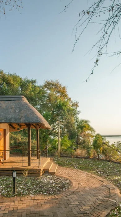 chobe safari lodge view botswana yellow zebra safaris