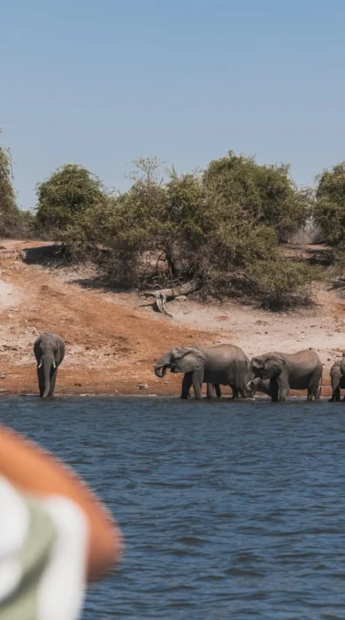 Photography, Chobe Princess, Chobe NP, Botswana
