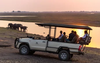 Game Drive, Chobe Elephant Camp, Chobe NP, Botswana