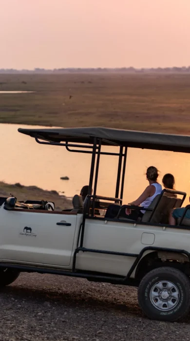 Game Drive, Chobe Elephant Camp, Chobe NP, Botswana