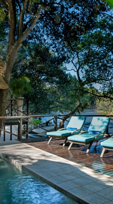 ichingo chobe river lodge pool botswana yellow zebra safaris