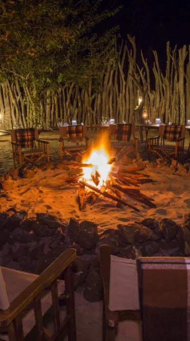 ngoma safari lodge fire botswana yellow zebra safaris