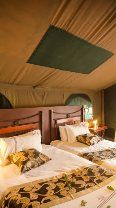 camp savuti botswana twin bedroom yellow zebra safaris