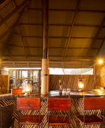 camp linyanti botswana main area yellow zebra safaris