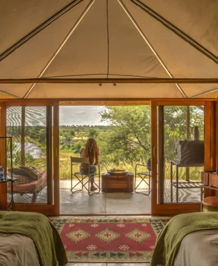 meno a kwena twin room view botswana yellow zebra safaris