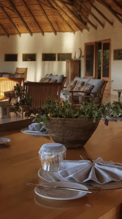 nxai pan dining botswana yellow zebra safaris