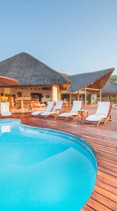 nxai pan pool area botswana yellow zebra safaris