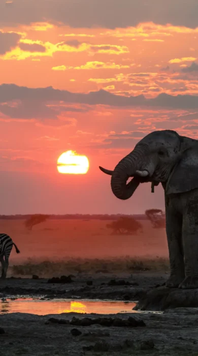 nxai pan sunset botswana yellow zebra safaris