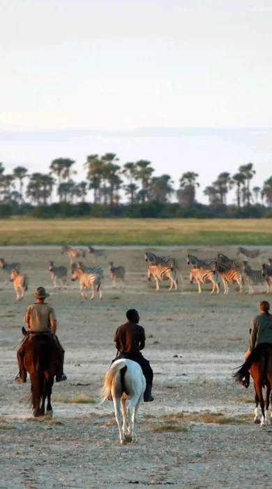 Horse Riding, Camp Kalahari, Makgadikgadi Pans, Botswana