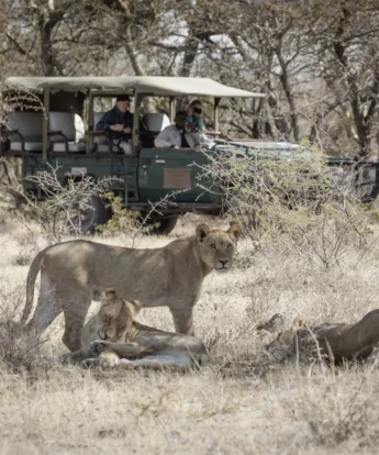 Game Drives, Camp Kalahari, Makgadikgadi Pans, Botswana