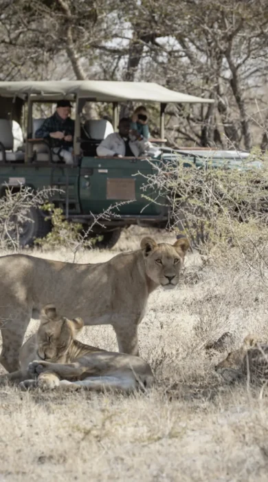 Game Drives, Camp Kalahari, Makgadikgadi Pans, Botswana