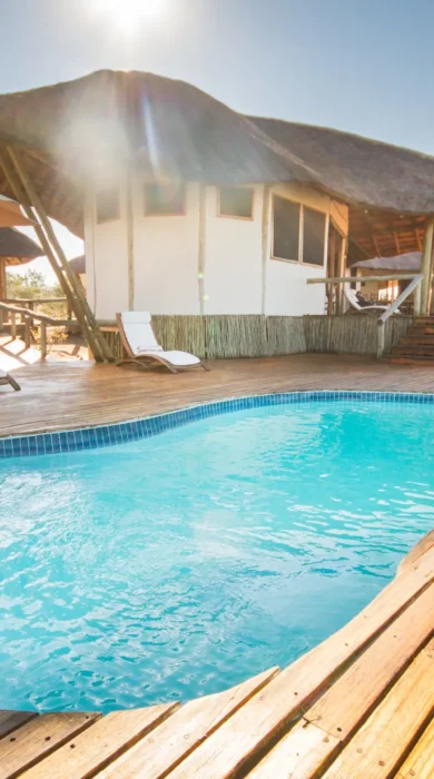tau pan pool botswana yellow zebra safaris