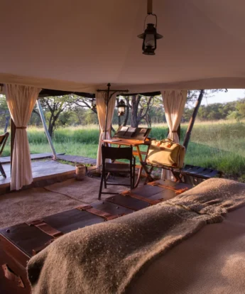 open double tent, Elewana Serengeti Pioneer Camp, the serengeti, tanzania