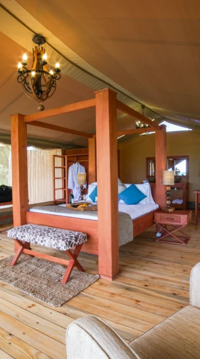 Safari tent luxury room