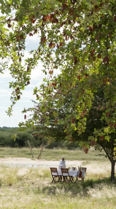 Botswana Bush Dining
