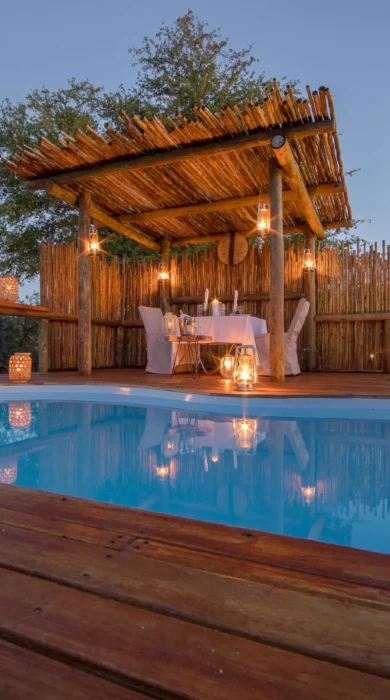 Dinaka Pool Botswana
