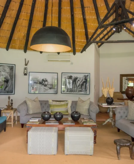 mashatu lodge main area botswana yellow zebra safaris