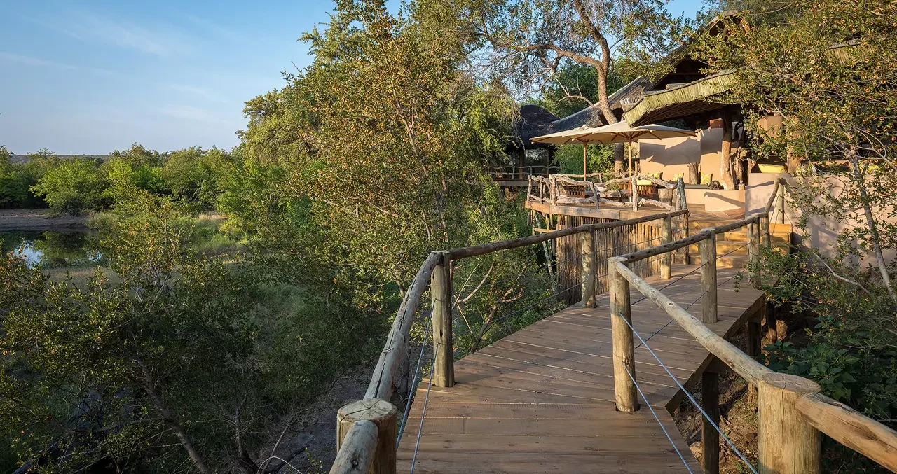 mashatu lodge walkway botswana yellow zebra safaris