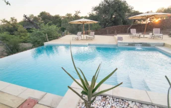 mashatu lodge pool botswana yellow zebra safaris