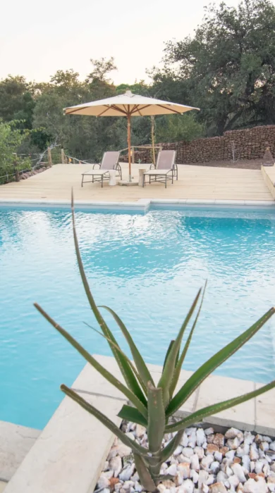 mashatu lodge pool botswana yellow zebra safaris